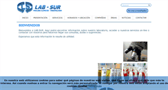 Desktop Screenshot of labsur.es