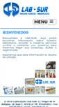 Mobile Screenshot of labsur.es